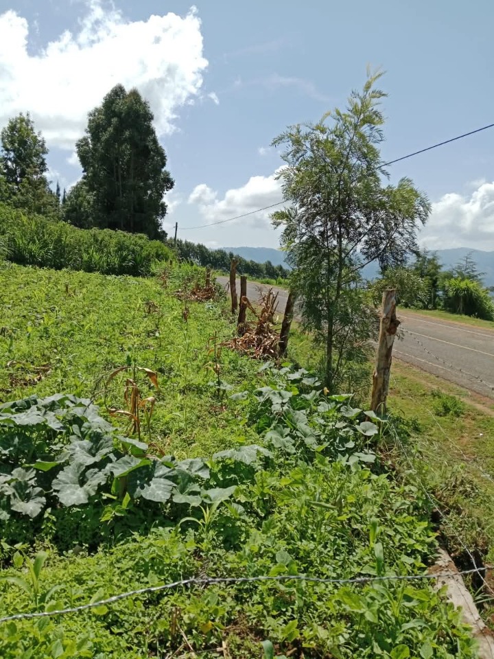 1/2 acre for sale in machakos mua hills -3.5m