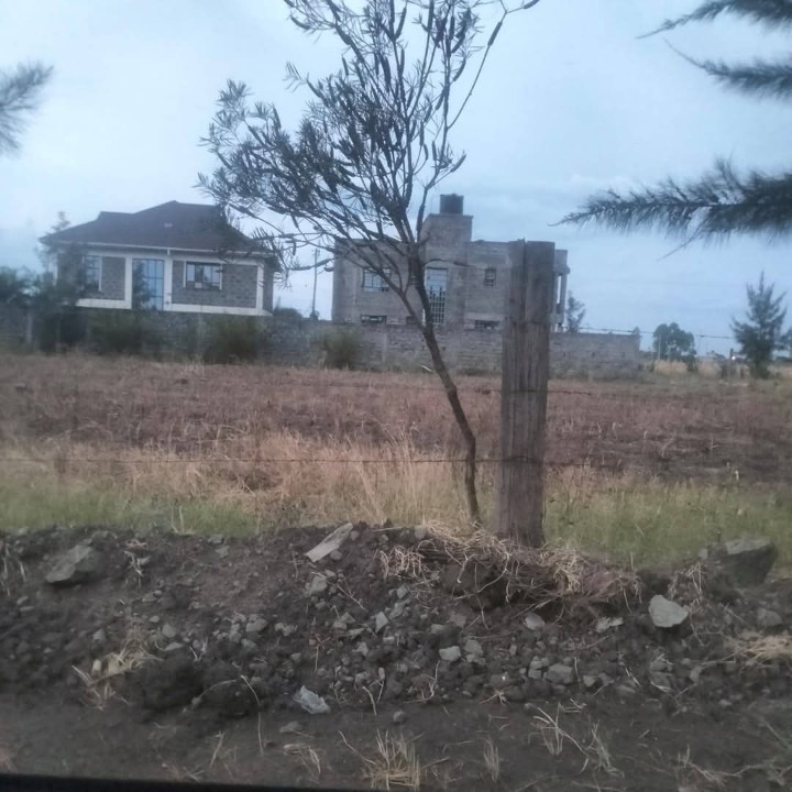 1/8 acre plot for sale in kamakis Ruiru -2.2m