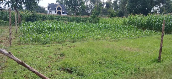 Land_plot for sale at Bukembe area 