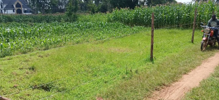 1/8 acre plot for sale Bungoma,kandunyi, bukembe area -650k