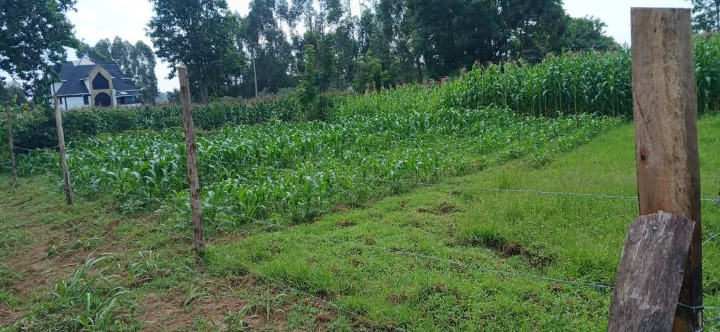 1/8 acre plot for sale Bungoma,kandunyi, bukembe area -650k