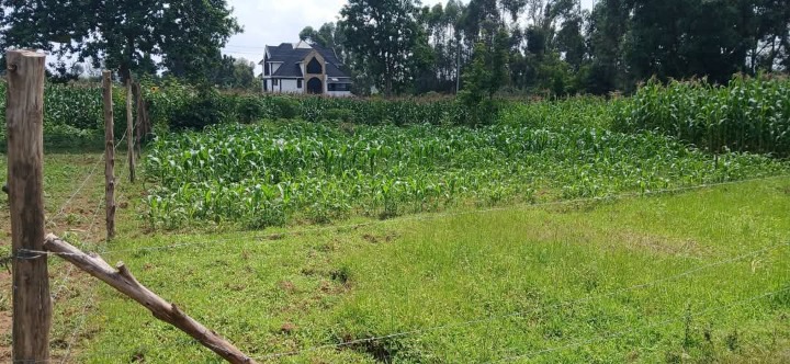 1/8 acre plot for sale Bungoma,kandunyi, bukembe area -650k