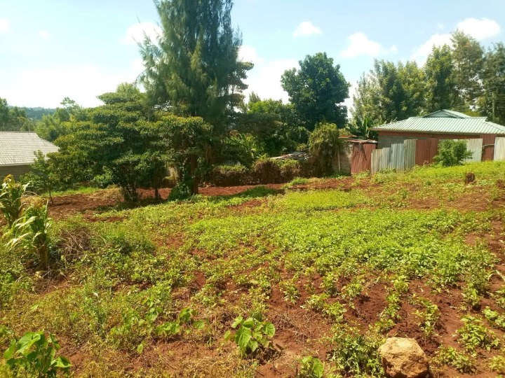 1/4 acre plot for sale in Ngong, kibiko 