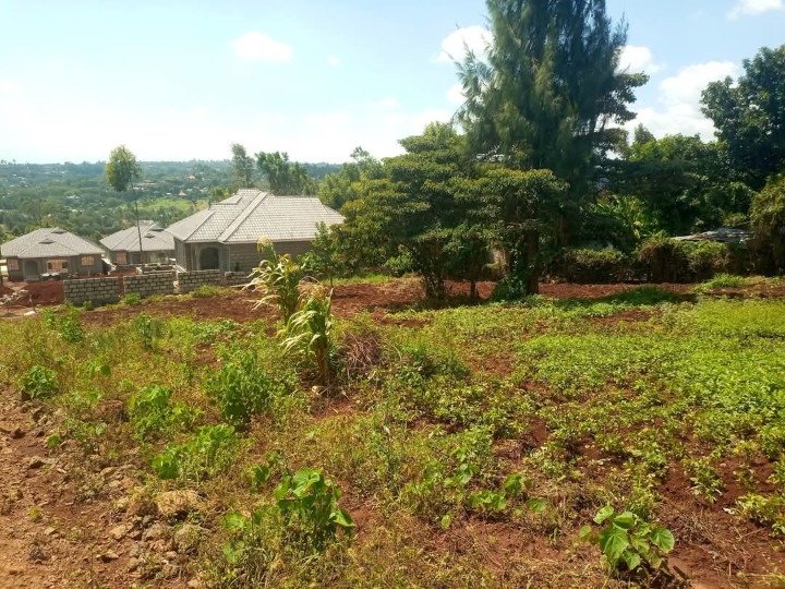 1/4 acre plot for sale in Ngong, kibiko 