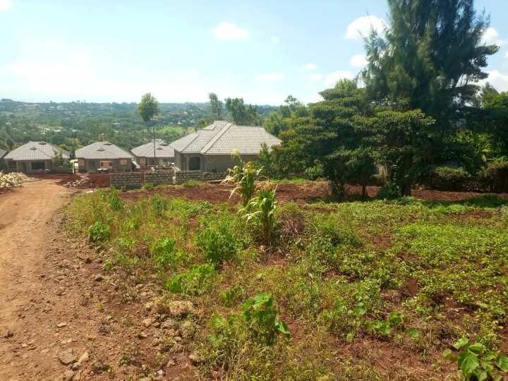 1/4 acre plot for sale in Ngong, kibiko 