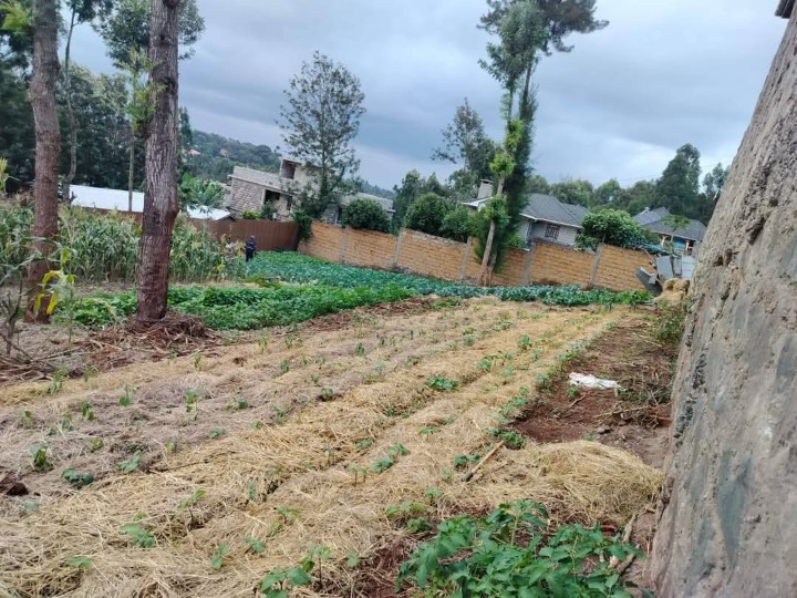 1/4 plot for sale in Ngong 