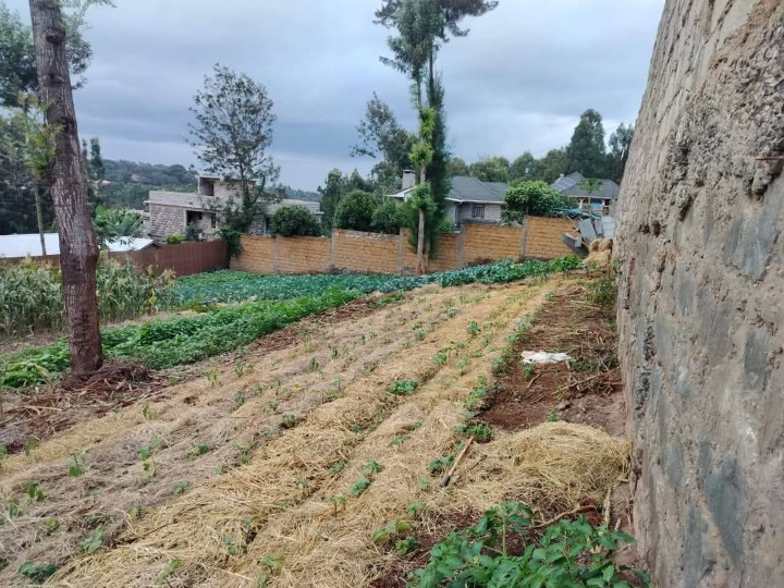 1/4 plot for sale in Ngong 
