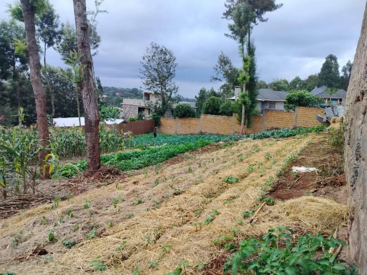 Land_plot for sale at Ngong 