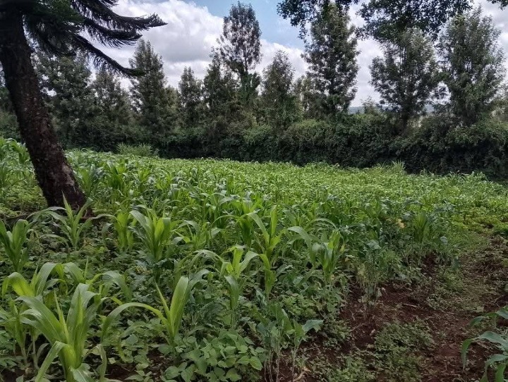 1 acre for sale in Ngong 