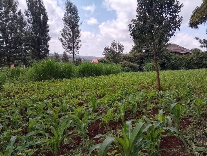 Land_plot for sale at Ngong 