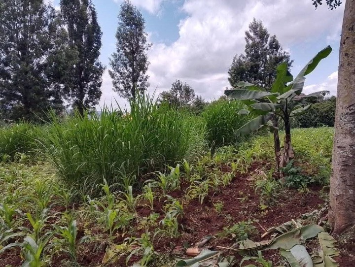 1 acre for sale in Ngong 