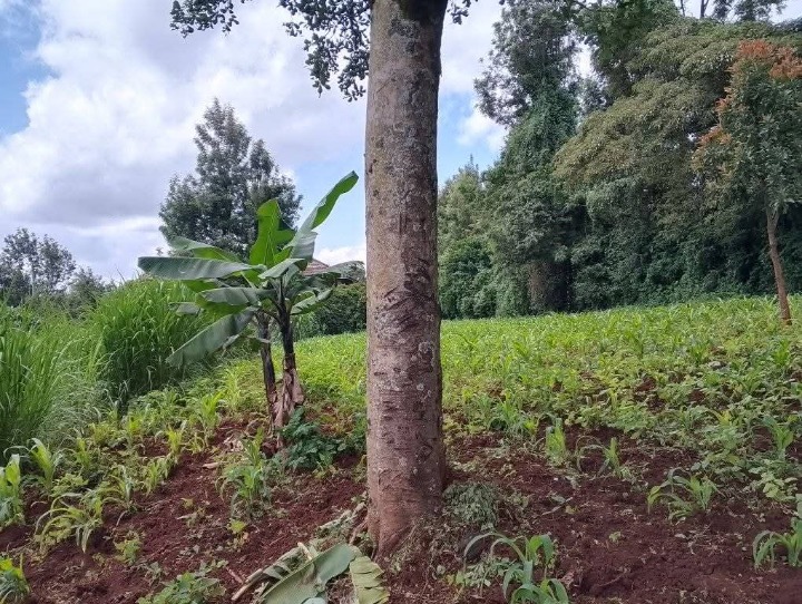 1 acre for sale in Ngong 