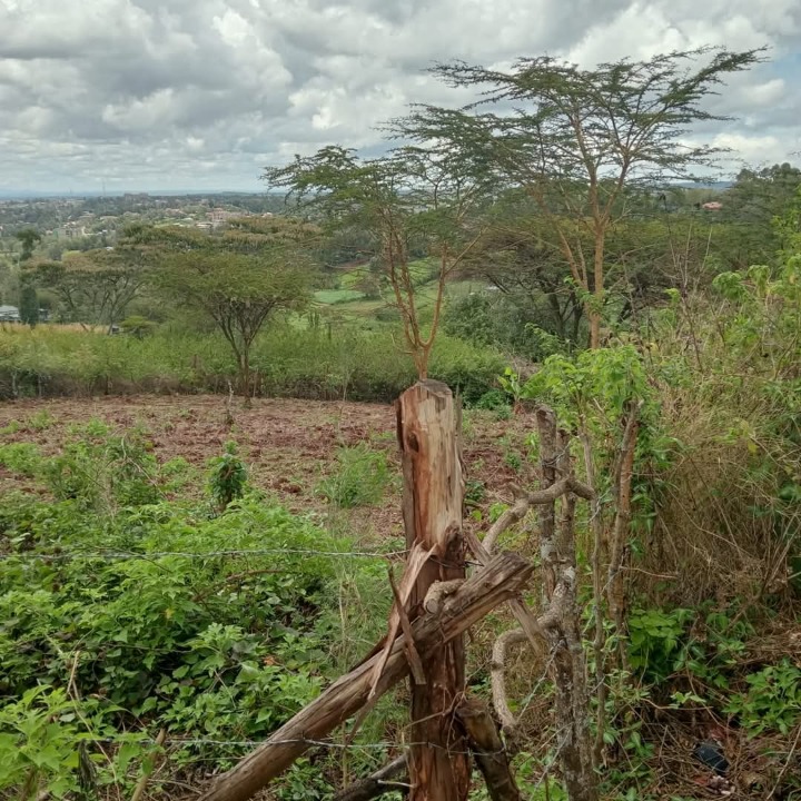 1/8 acre plot for sale in Ngong, matasia, oloosorutia lane 