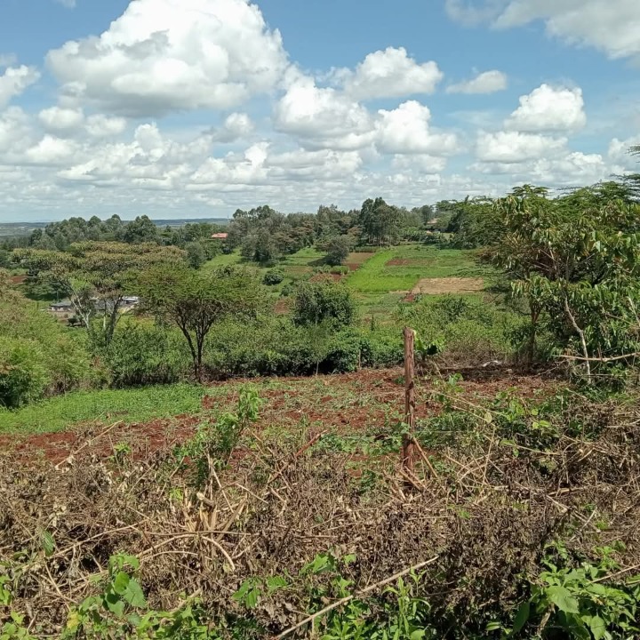 1/8 acre plot for sale in Ngong, matasia, oloosorutia lane 