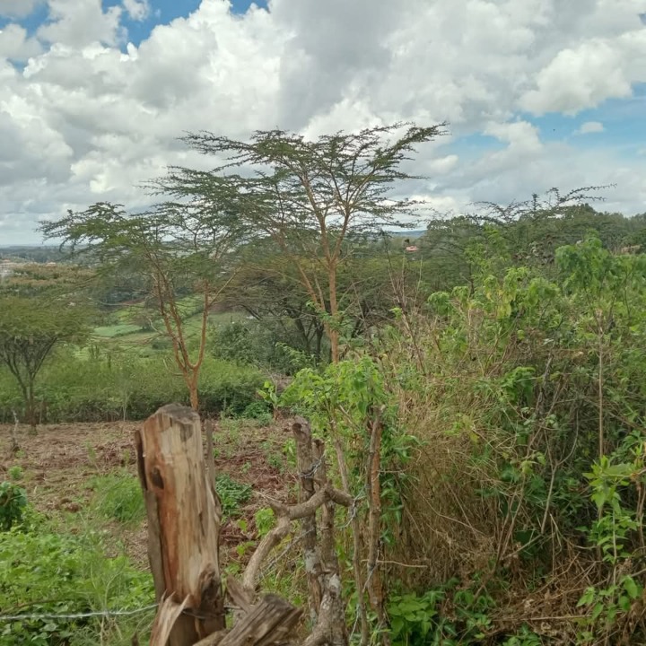 1/8 acre plot for sale in Ngong, matasia, oloosorutia lane 