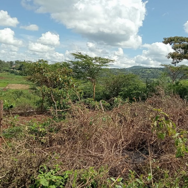 Land_plot for sale at Oloosorutia lane 
