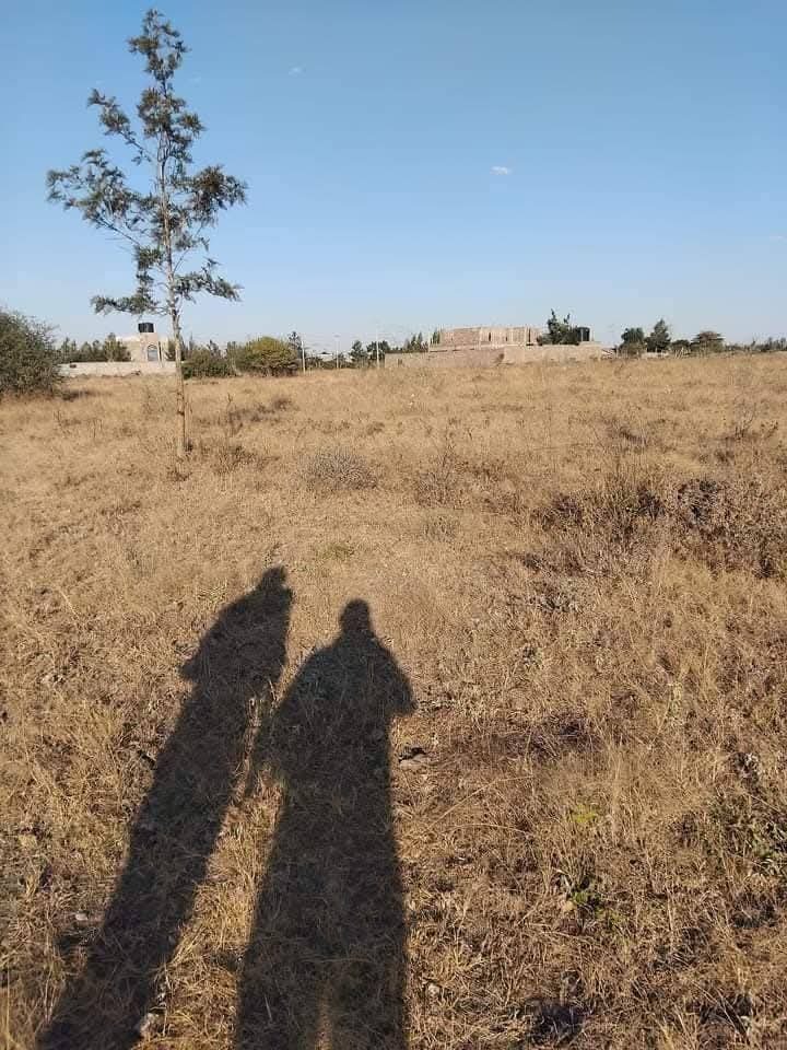 1/4 acre plot for sale in Kitengela, Milimani area -3m