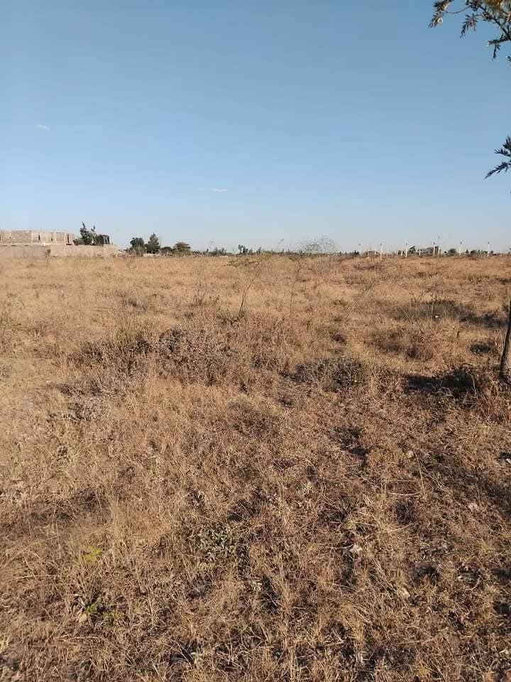 1/4 acre plot for sale in Kitengela, Milimani area -3m