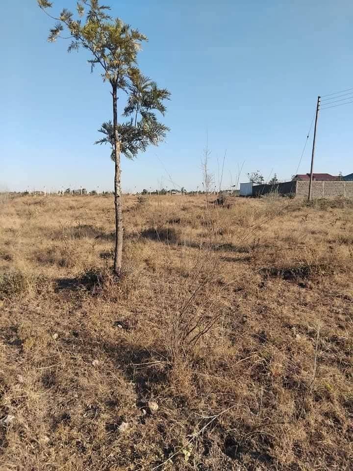 1/4 acre plot for sale in Kitengela, Milimani area -3m