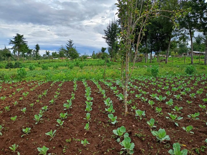 10 acres for sale in Nyandarua, north kinangop,nandarasi -16m