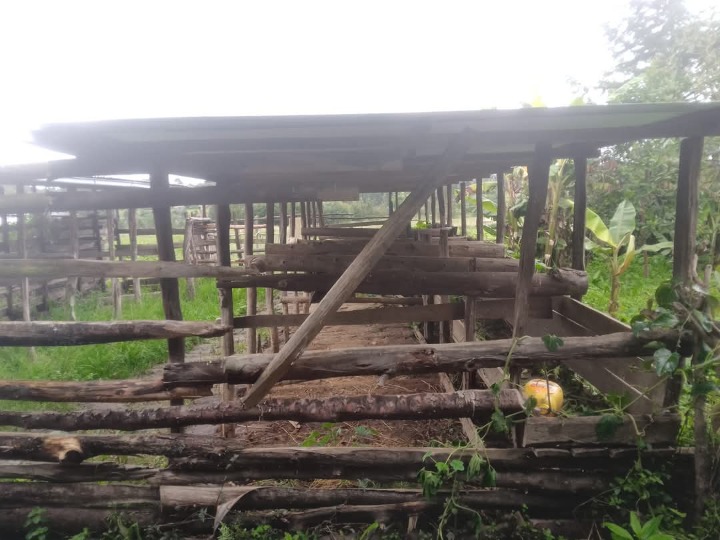 6.5 acres for sale in Nyandarua kipipiri, machinery -16m