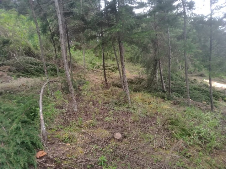 6.5 acres for sale in Nyandarua kipipiri, machinery -16m