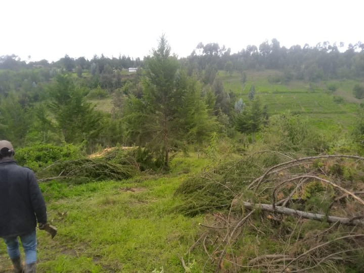 6.5 acres for sale in Nyandarua kipipiri, machinery -16m