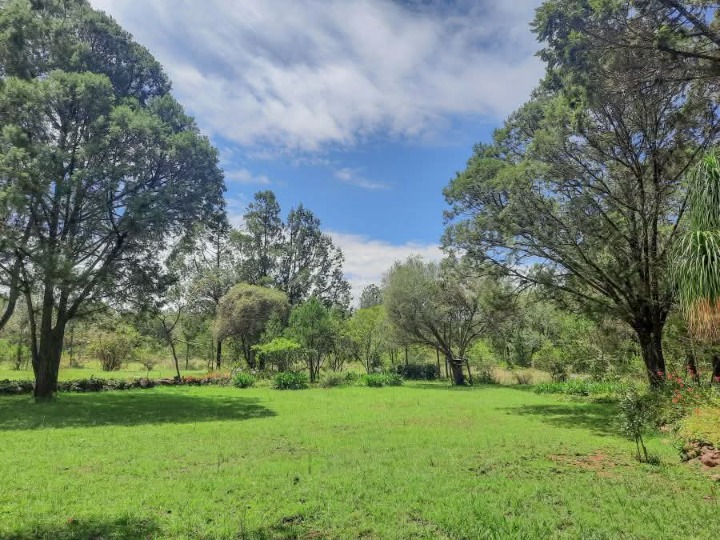 12.2 Acre Nanyuki, Simba lane 