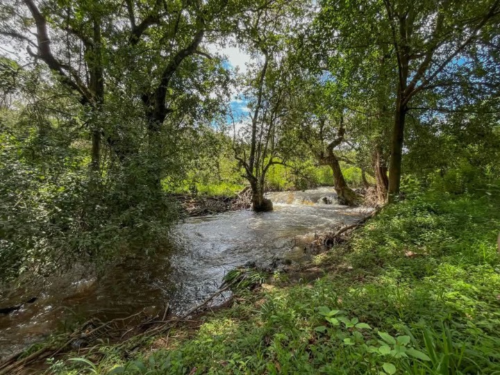 12.2 Acre Nanyuki, Simba lane 