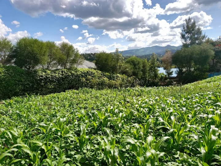 1/4 acre plot for sale in ongata Rongai kamula -7m