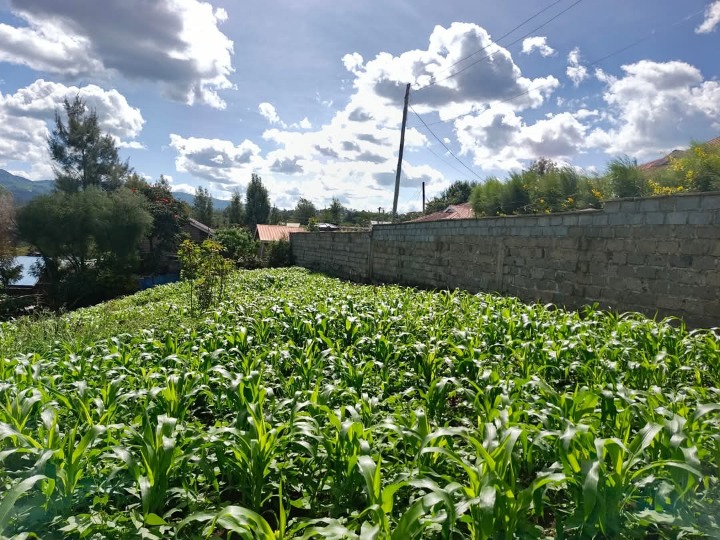 Land_plot for sale at Kamula 
