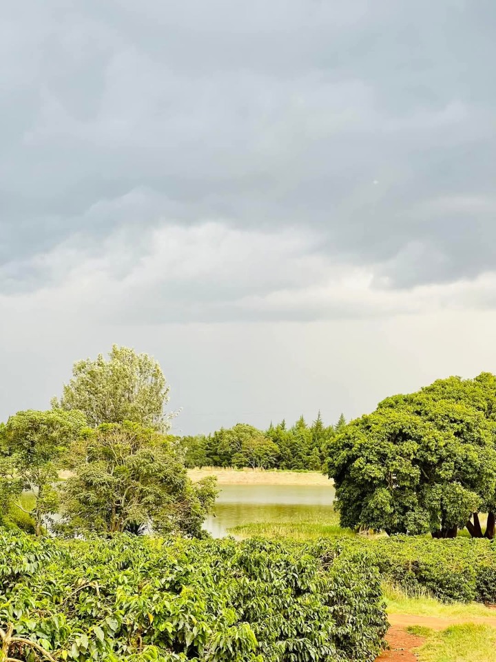 1/8 acre for sale juja Kiambu county -3m