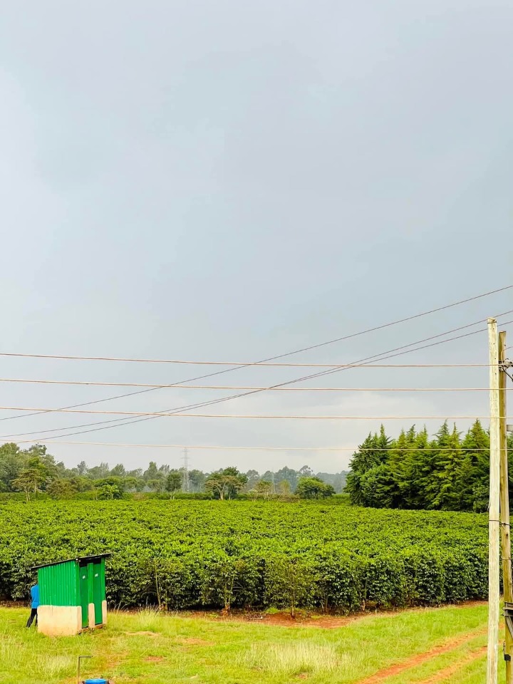 1/8 acre for sale juja Kiambu county -3m