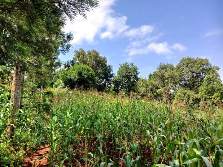 1 acre for sale in Murang'a,sabasaba -3.5m