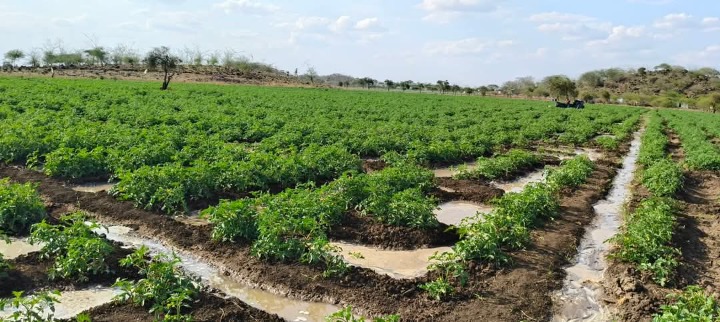 Land_plot for sale at Kimana
