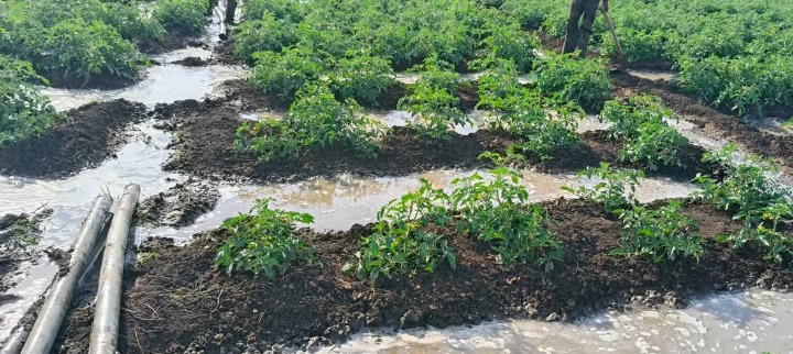 5 acres for sale Kajiado,kimana-2.25m