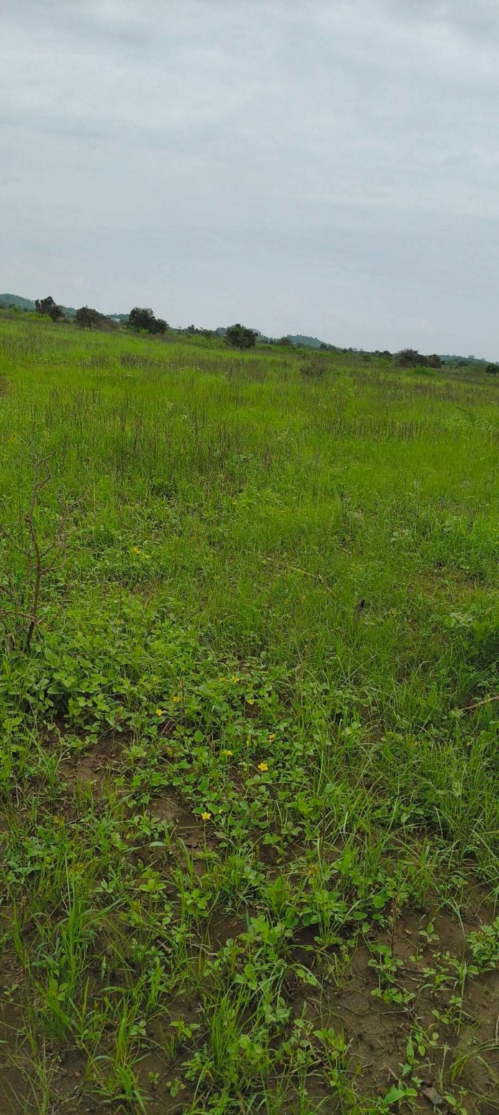 5 acres for sale Kajiado,kimana-2.25m