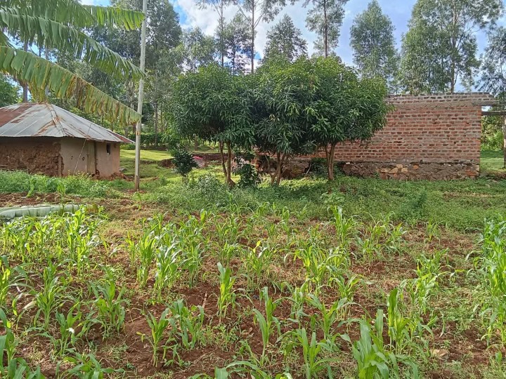 2 acres for in Migori,suna east,ang'anga-2.5m
