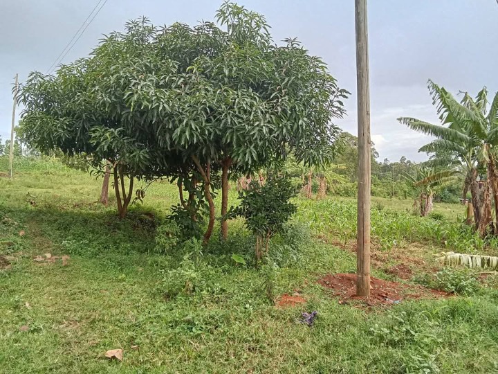 Land_plot for sale at Ang'anga 