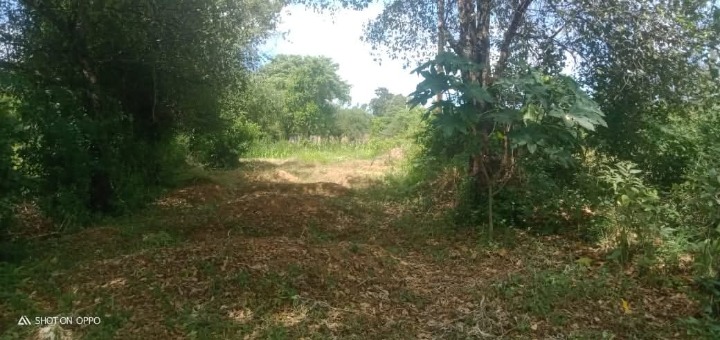 2.1 acres for sale in Makueni,wrote,malivani -