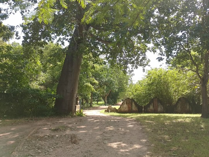 Land_plot for sale at Diani 