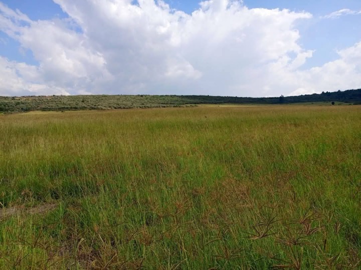 Land_plot for sale at Rongena