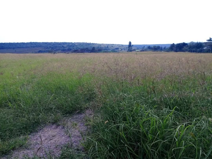 🌾 20 Acres of Prime Agricultural Land for Sale – Rongena, Narok County | Ksh 650,000 per Acre