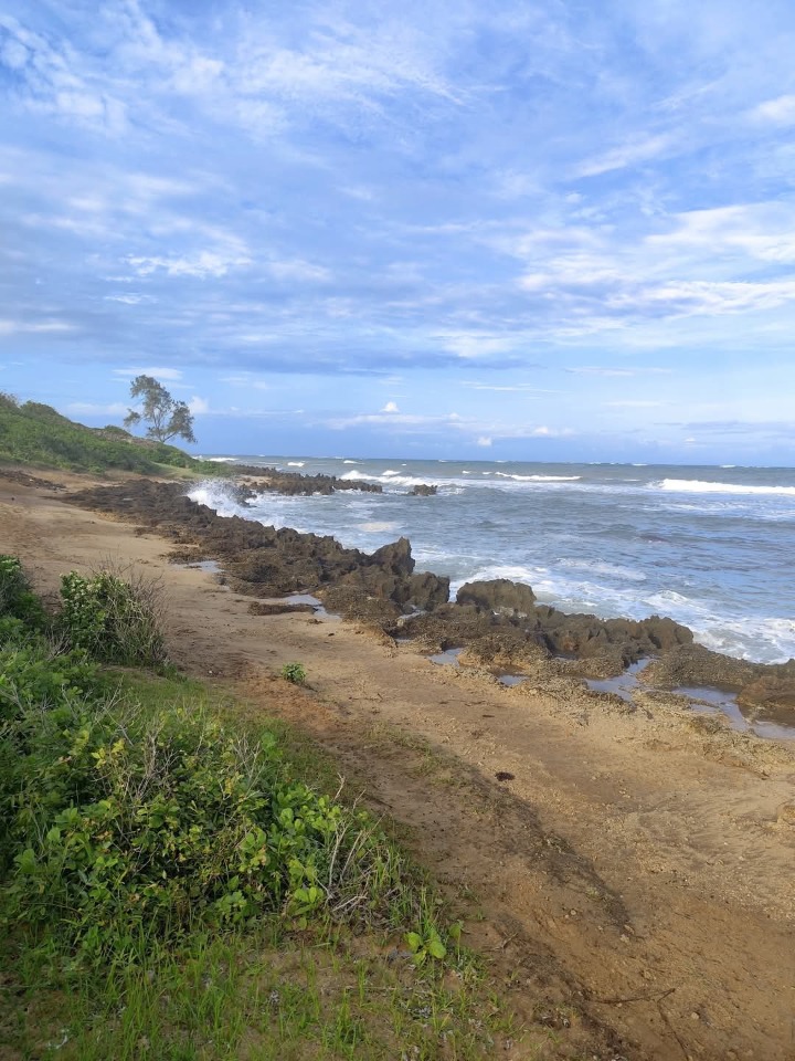 6 Acres for sale in Kilifi,bofa-180m