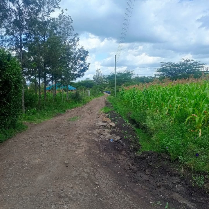 1/8 acre plot for sale in Ngong matasia -2.5m