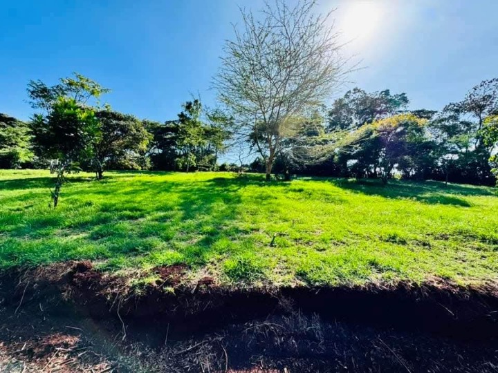 1/4 acre plot for sale in Ngong - tulivu estate 