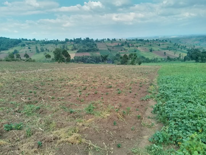 10 acres for sale Narok,kisiriri-14m