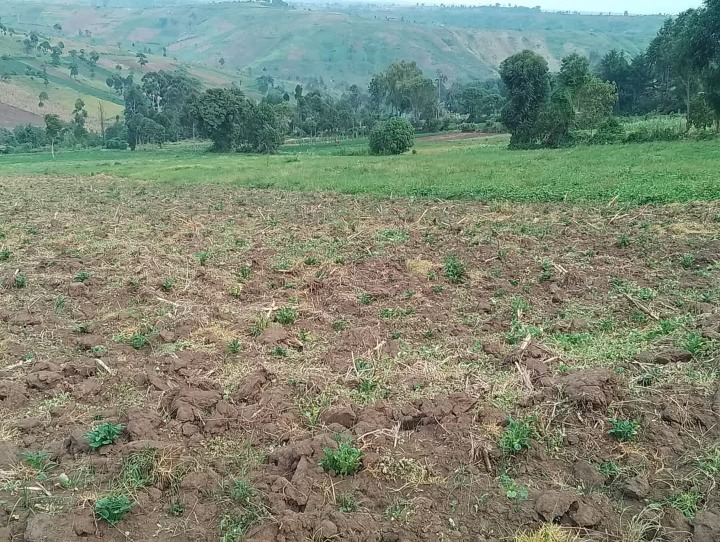 10 acres for sale Narok,kisiriri-14m