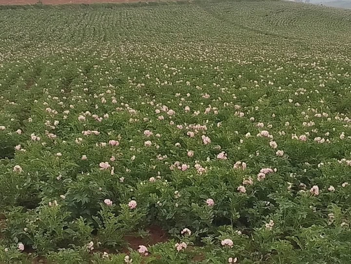 10 acres for sale Narok,kisiriri-14m