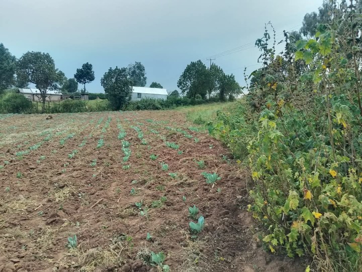 Land_plot for sale at Kisiriri 